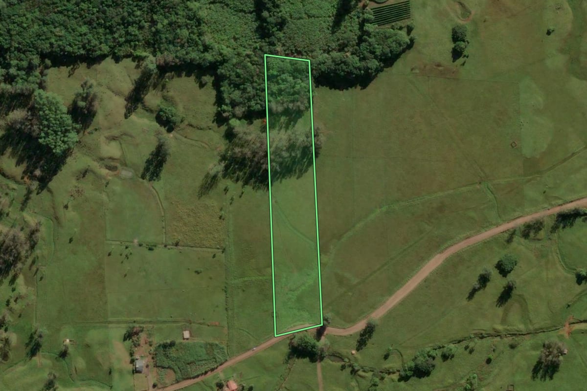 Imagem de satélite do imóvel rural em Morrinhos do Sul (RS), com o contorno declarado no CAR desenhado por cima.