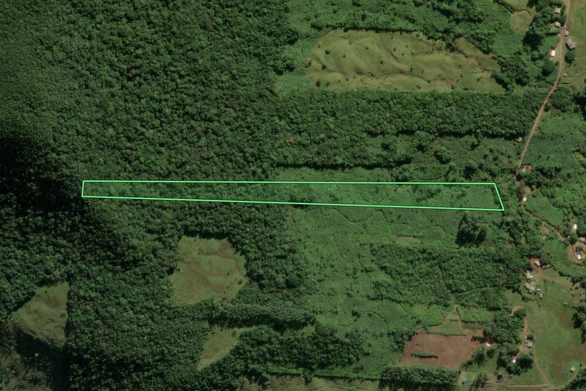 Imagem de satélite do imóvel rural em Morrinhos do Sul (RS), com o contorno declarado no CAR desenhado por cima.