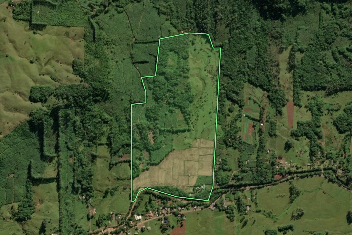 Imagem de satélite do imóvel rural em Morrinhos do Sul (RS), com o contorno declarado no CAR desenhado por cima.