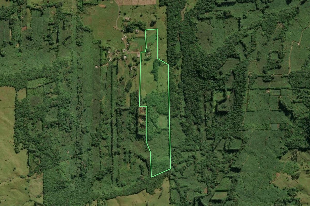 Imagem de satélite do imóvel rural em Morrinhos do Sul (RS), com o contorno declarado no CAR desenhado por cima.