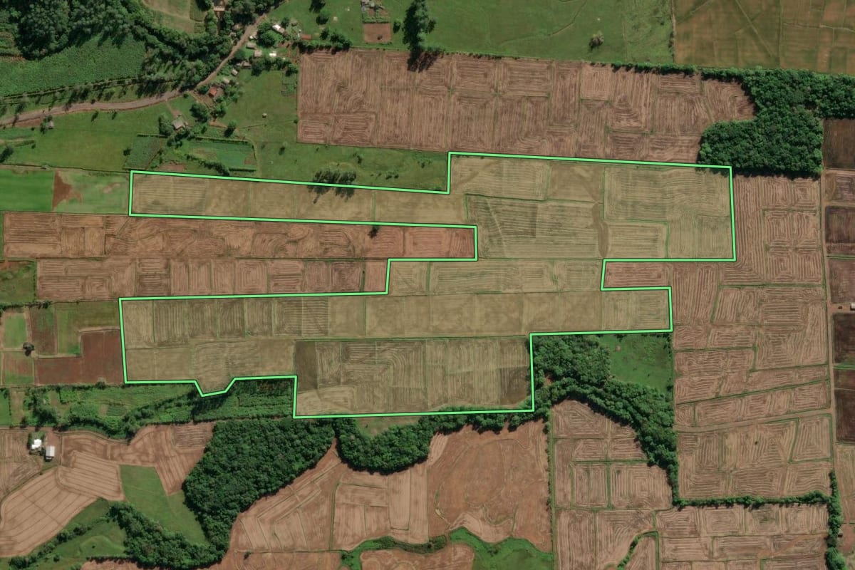 Imagem de satélite do imóvel rural em Morrinhos do Sul (RS), com o contorno declarado no CAR desenhado por cima.