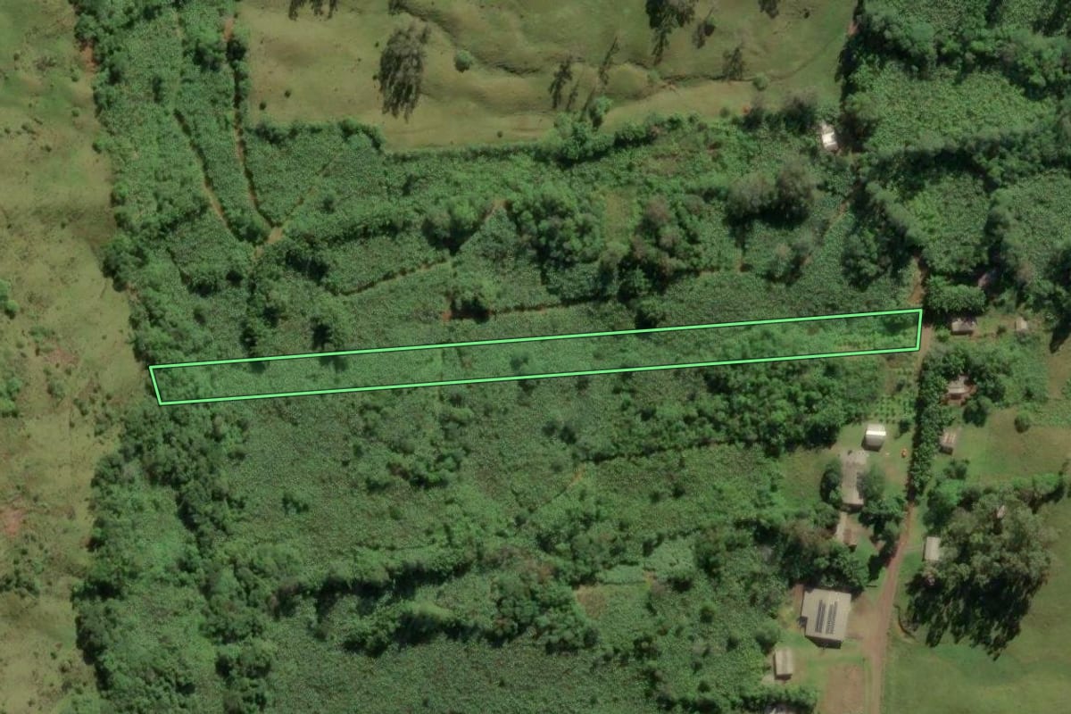 Imagem de satélite do imóvel rural em Morrinhos do Sul (RS), com o contorno declarado no CAR desenhado por cima.