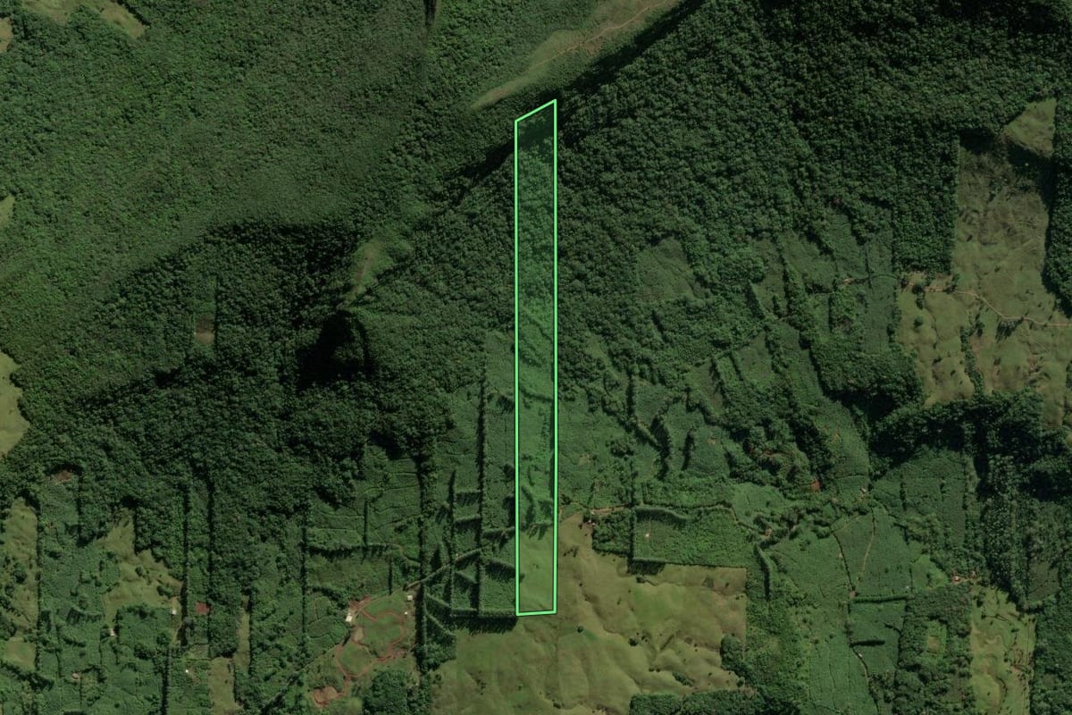 Imagem de satélite do imóvel rural em Morrinhos do Sul (RS), com o contorno declarado no CAR desenhado por cima.