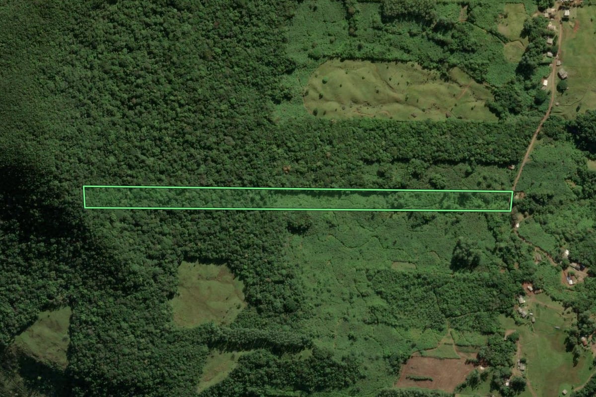 Imagem de satélite do imóvel rural em Morrinhos do Sul (RS), com o contorno declarado no CAR desenhado por cima.