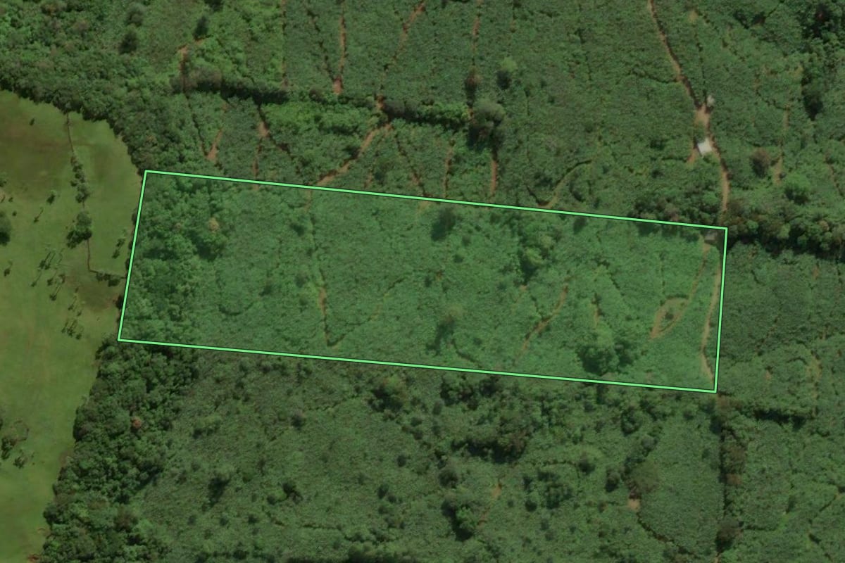 Imagem de satélite do imóvel rural em Morrinhos do Sul (RS), com o contorno declarado no CAR desenhado por cima.