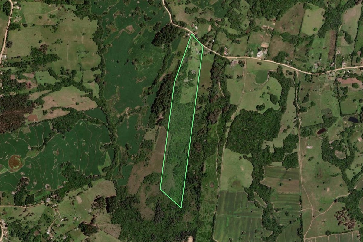 Imagem de satélite do imóvel rural em Morro Redondo (RS), com o contorno declarado no CAR desenhado por cima.