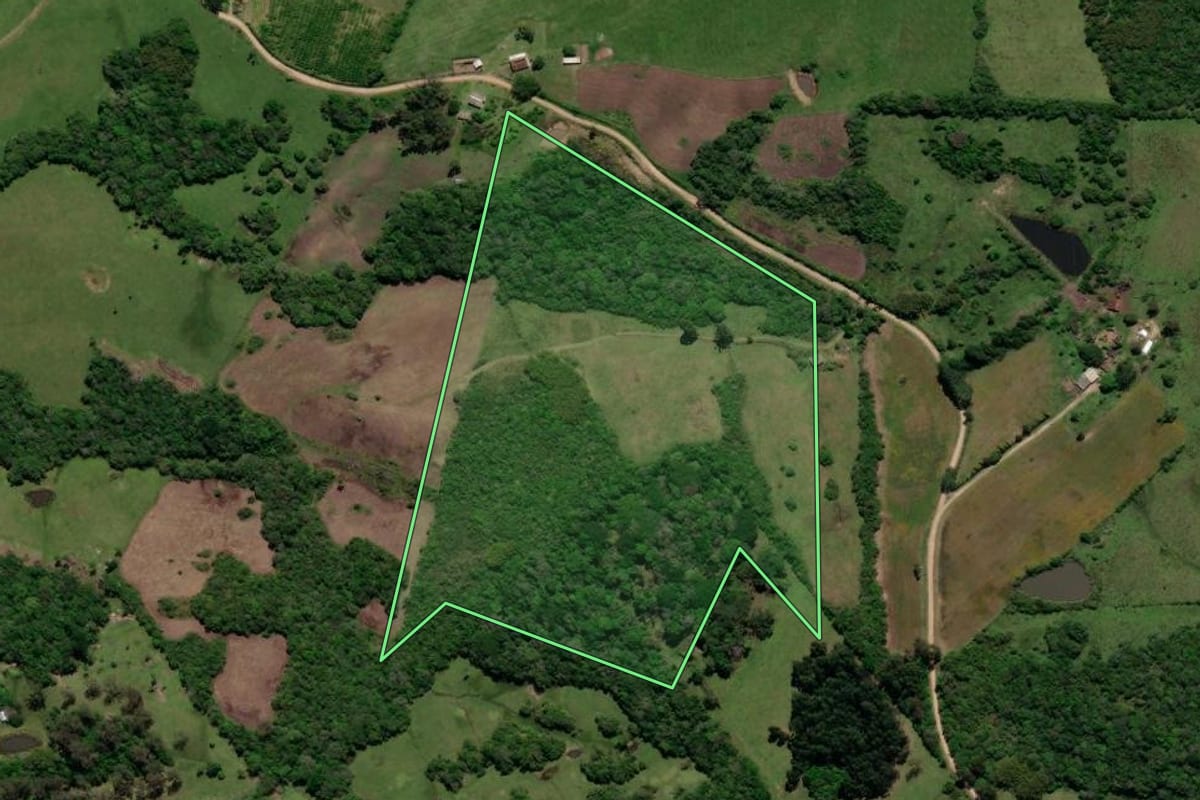 Imagem de satélite do imóvel rural em Morro Redondo (RS), com o contorno declarado no CAR desenhado por cima.