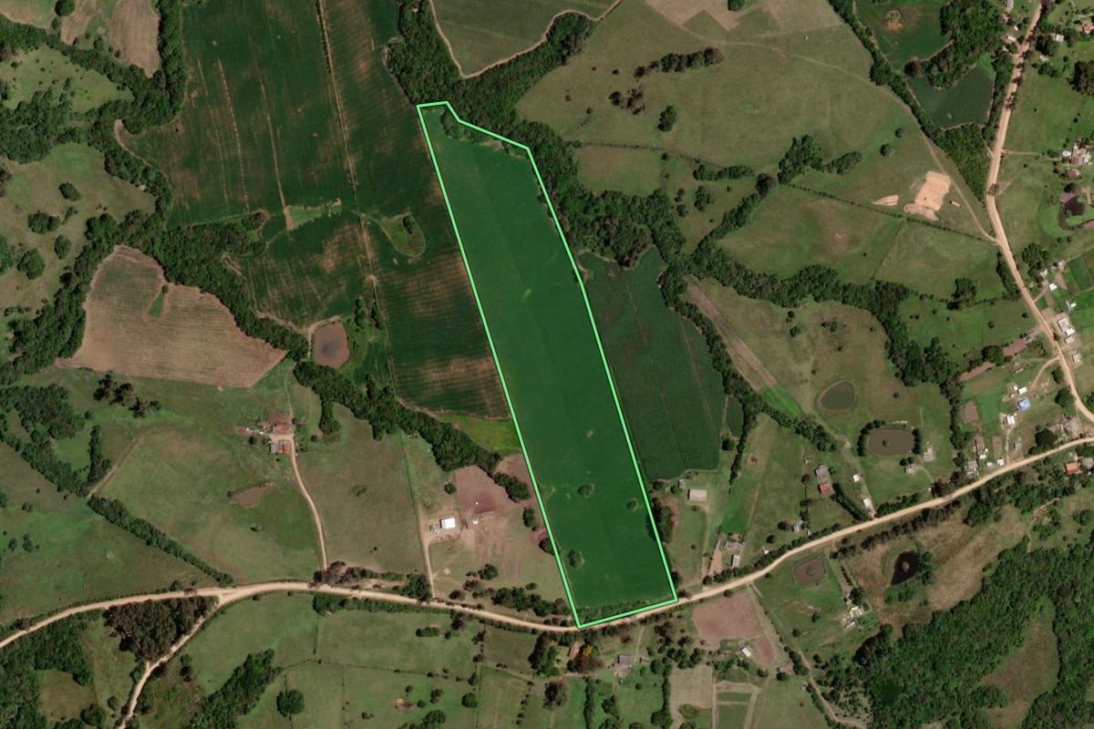 Imagem de satélite do imóvel rural em Morro Redondo (RS), com o contorno declarado no CAR desenhado por cima.