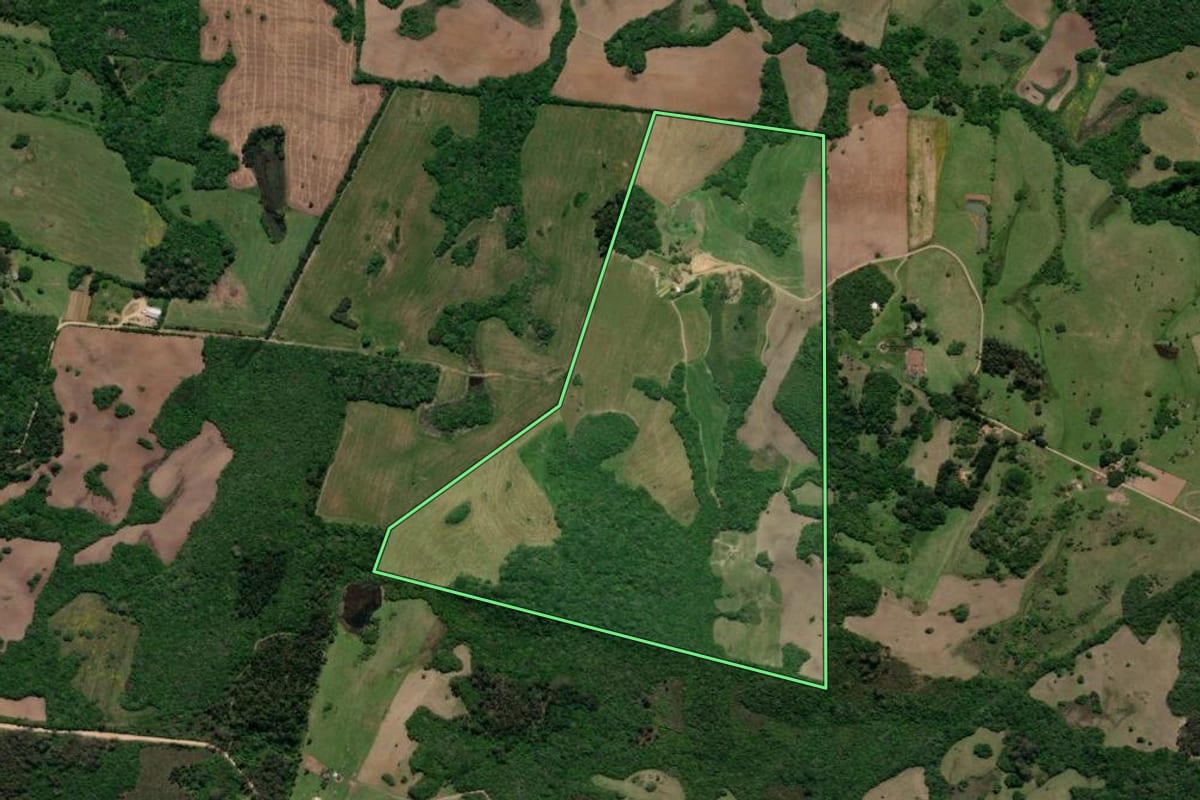 Imagem de satélite do imóvel rural em Morro Redondo (RS), com o contorno declarado no CAR desenhado por cima.