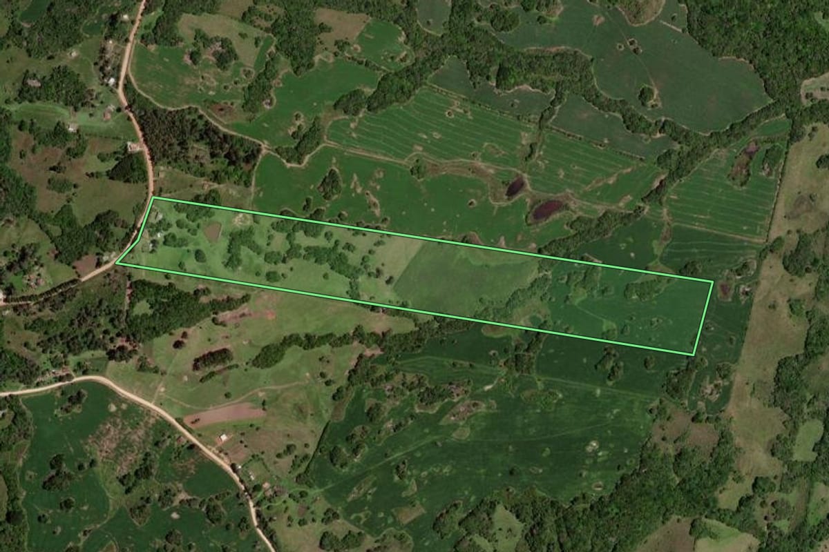 Imagem de satélite do imóvel rural em Morro Redondo (RS), com o contorno declarado no CAR desenhado por cima.