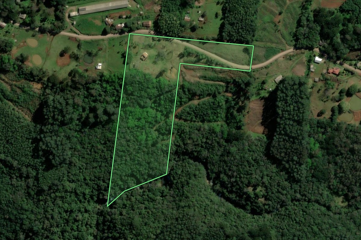 Imagem de satélite do imóvel rural em Morro Reuter (RS), com o contorno declarado no CAR desenhado por cima.