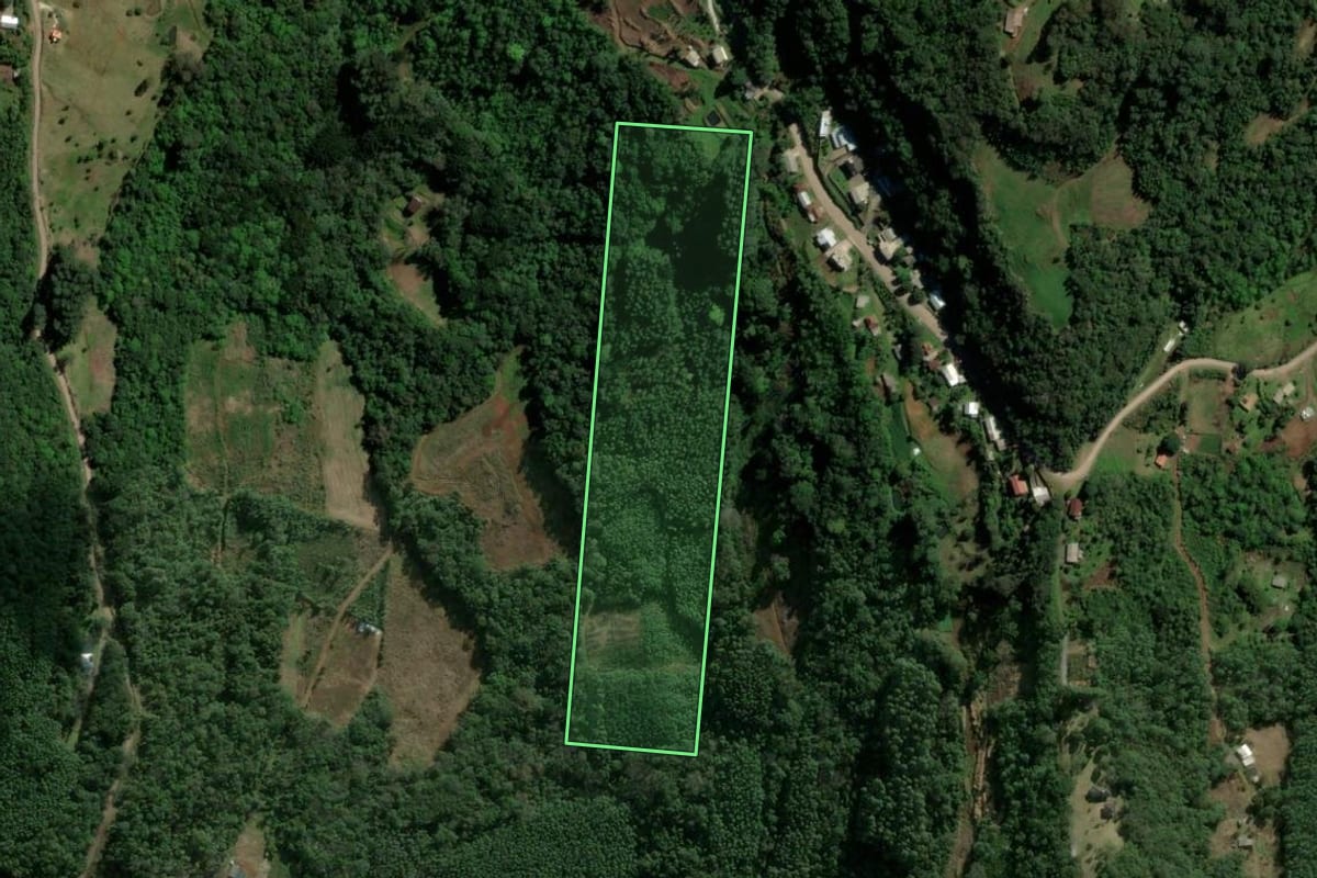 Imagem de satélite do imóvel rural em Morro Reuter (RS), com o contorno declarado no CAR desenhado por cima.