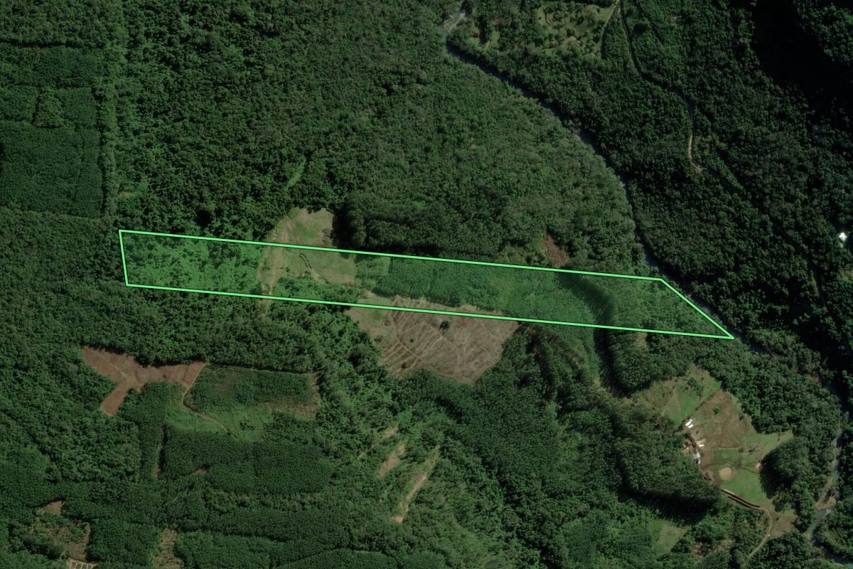 Imagem de satélite do imóvel rural em Morro Reuter (RS), com o contorno declarado no CAR desenhado por cima.
