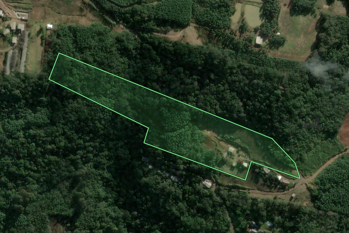 Imagem de satélite do imóvel rural em Morro Reuter (RS), com o contorno declarado no CAR desenhado por cima.