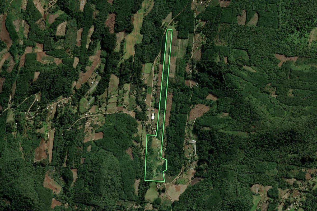 Imagem de satélite do imóvel rural em Morro Reuter (RS), com o contorno declarado no CAR desenhado por cima.