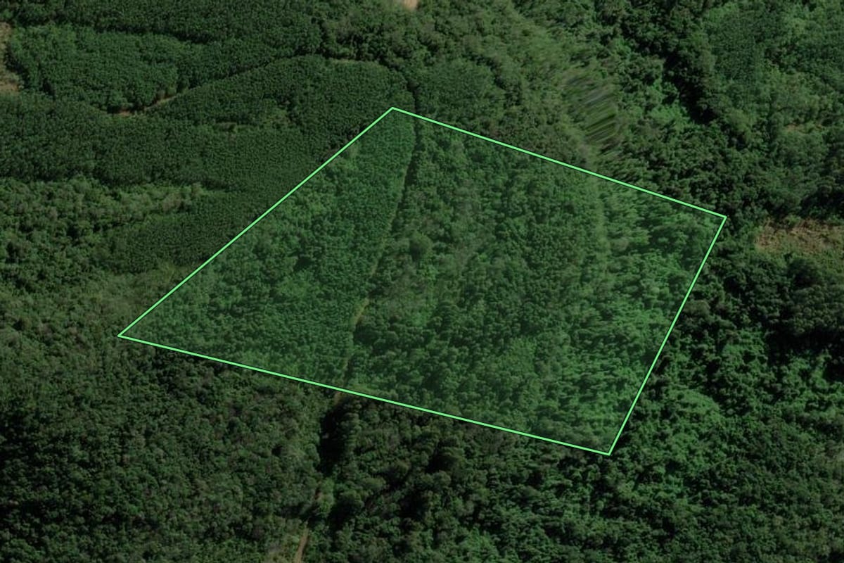 Imagem de satélite do imóvel rural em Morro Reuter (RS), com o contorno declarado no CAR desenhado por cima.