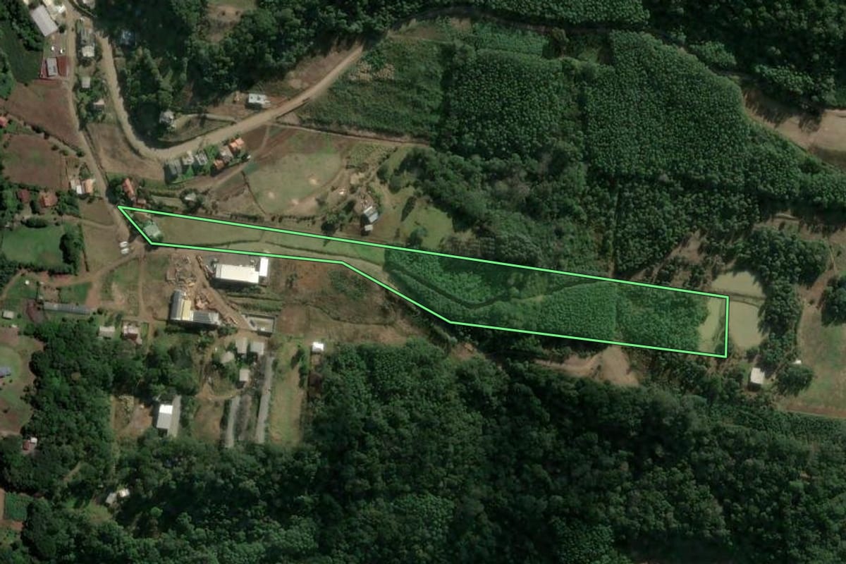 Imagem de satélite do imóvel rural em Morro Reuter (RS), com o contorno declarado no CAR desenhado por cima.