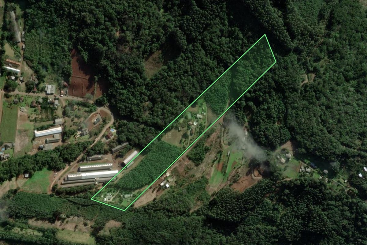 Imagem de satélite do imóvel rural em Morro Reuter (RS), com o contorno declarado no CAR desenhado por cima.