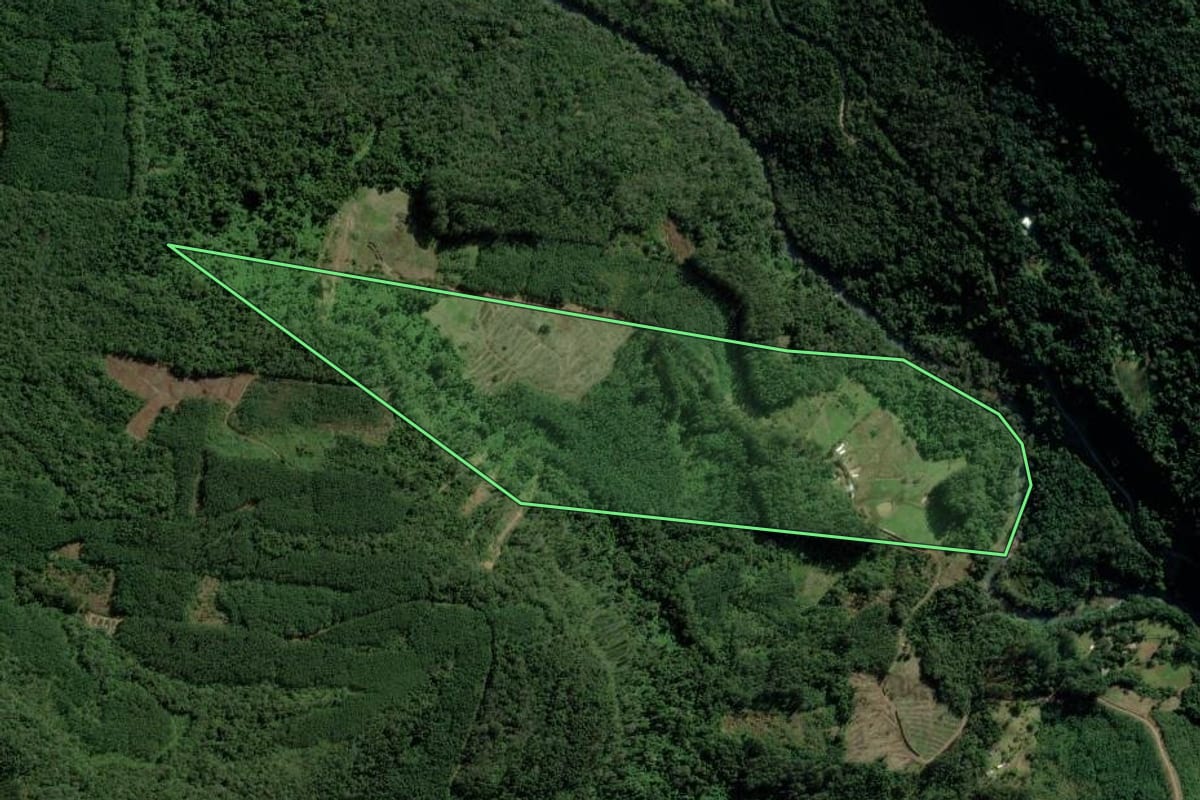 Imagem de satélite do imóvel rural em Morro Reuter (RS), com o contorno declarado no CAR desenhado por cima.