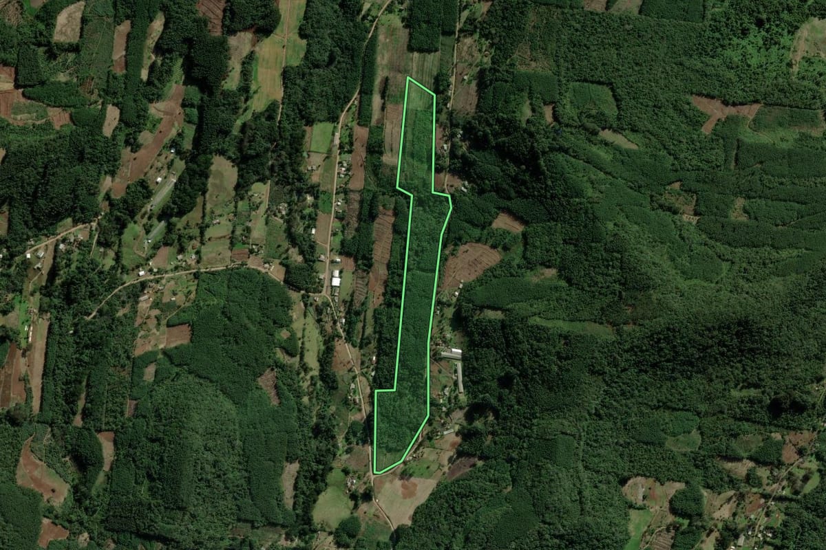 Imagem de satélite do imóvel rural em Morro Reuter (RS), com o contorno declarado no CAR desenhado por cima.