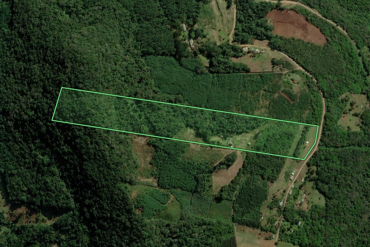 Imagem de satélite do imóvel rural em Morro Reuter (RS), com o contorno declarado no CAR desenhado por cima.