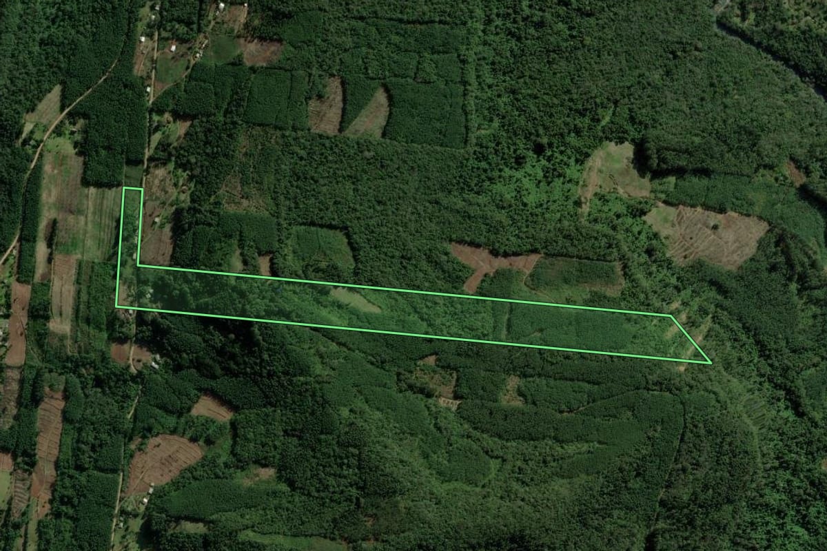 Imagem de satélite do imóvel rural em Morro Reuter (RS), com o contorno declarado no CAR desenhado por cima.