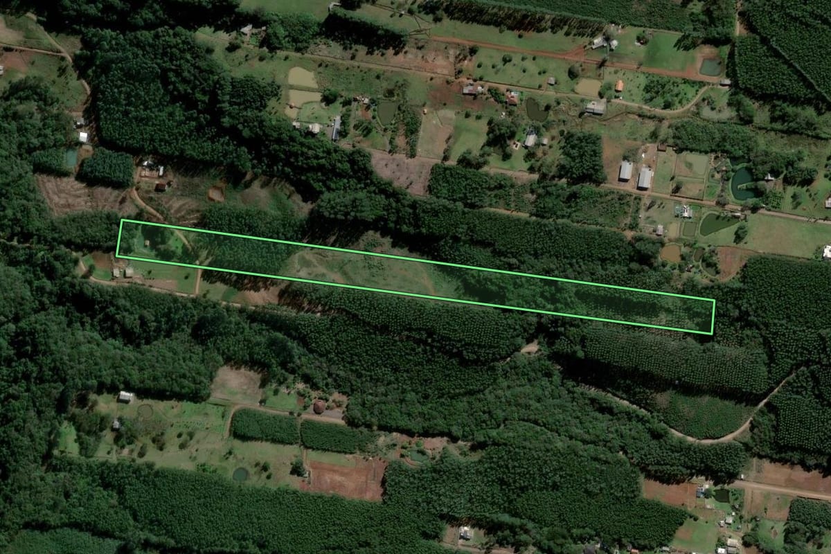 Imagem de satélite do imóvel rural em Morro Reuter (RS), com o contorno declarado no CAR desenhado por cima.