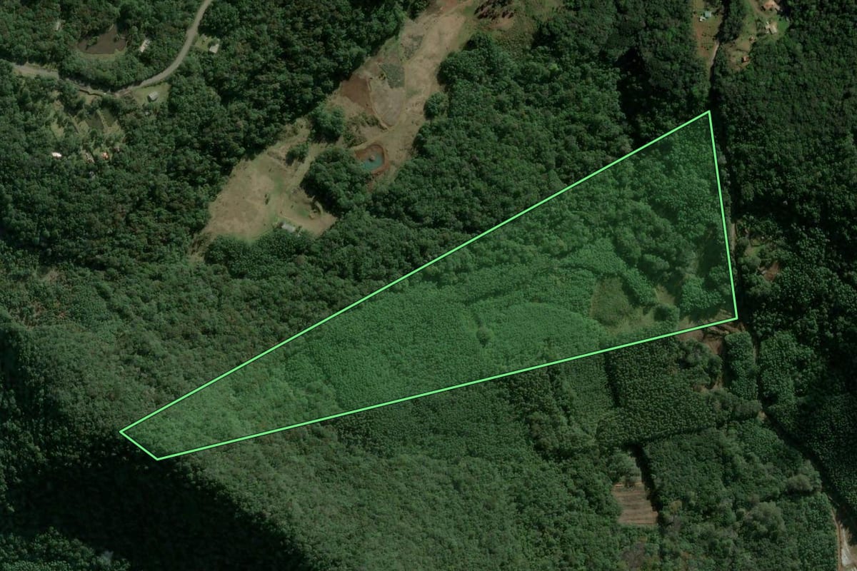 Imagem de satélite do imóvel rural em Morro Reuter (RS), com o contorno declarado no CAR desenhado por cima.