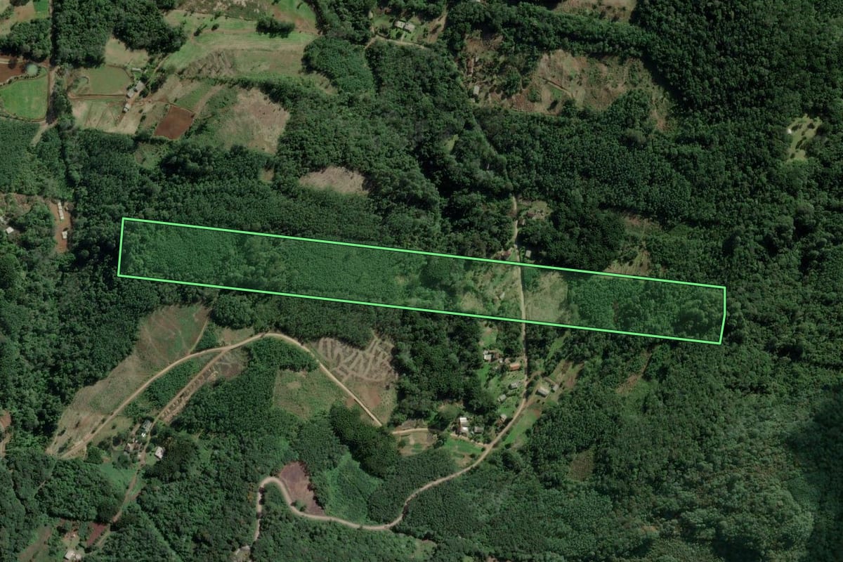 Imagem de satélite do imóvel rural em Morro Reuter (RS), com o contorno declarado no CAR desenhado por cima.