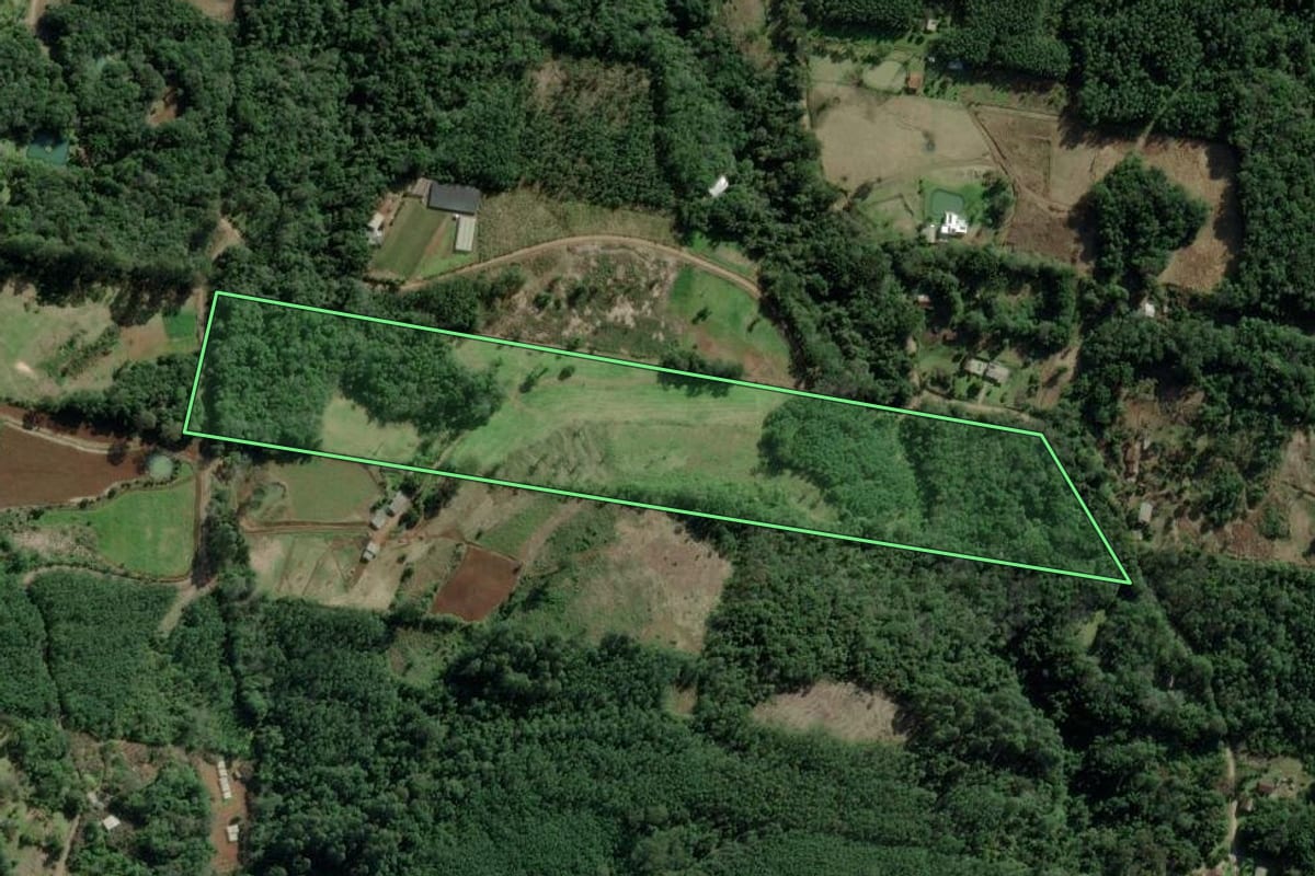 Imagem de satélite do imóvel rural em Morro Reuter (RS), com o contorno declarado no CAR desenhado por cima.