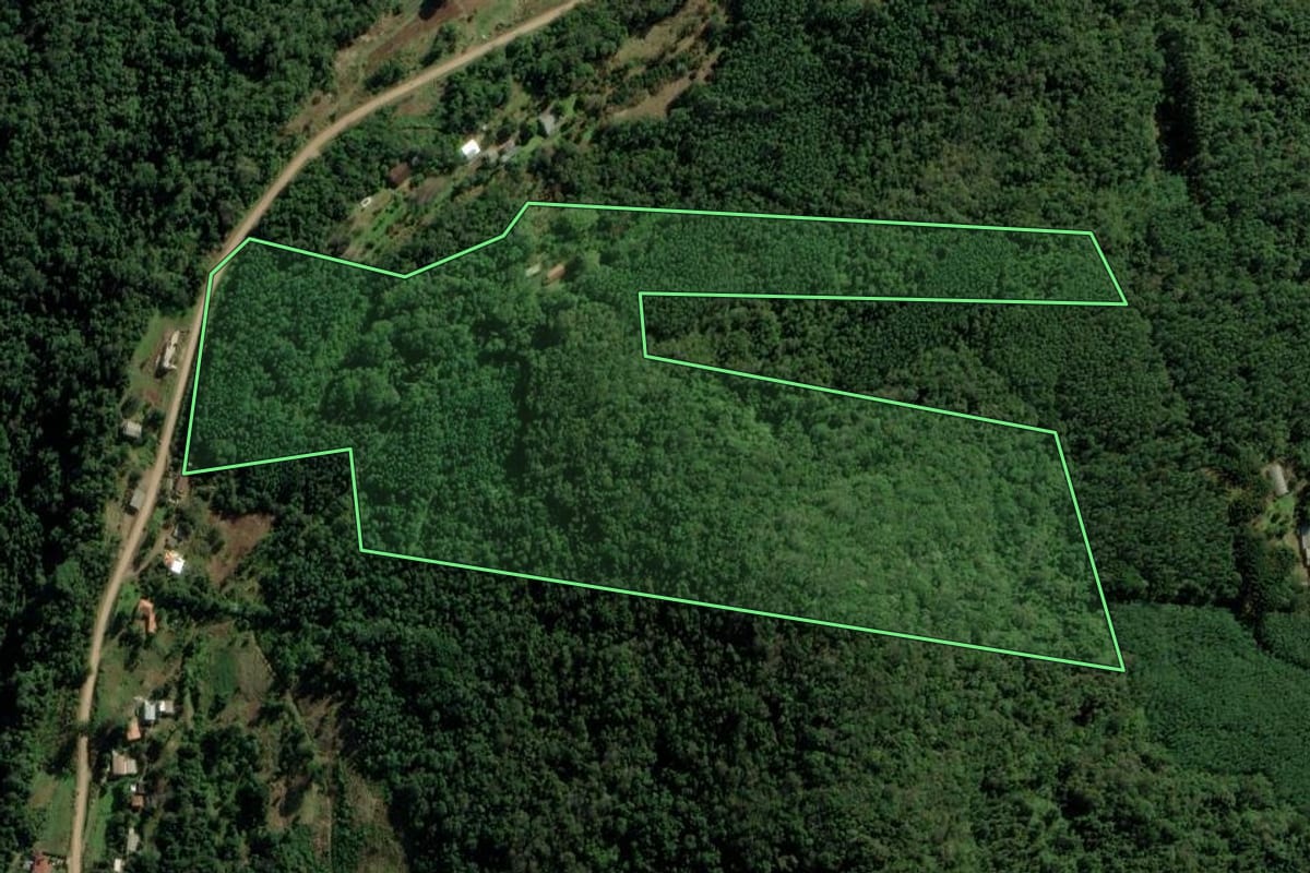 Imagem de satélite do imóvel rural em Morro Reuter (RS), com o contorno declarado no CAR desenhado por cima.