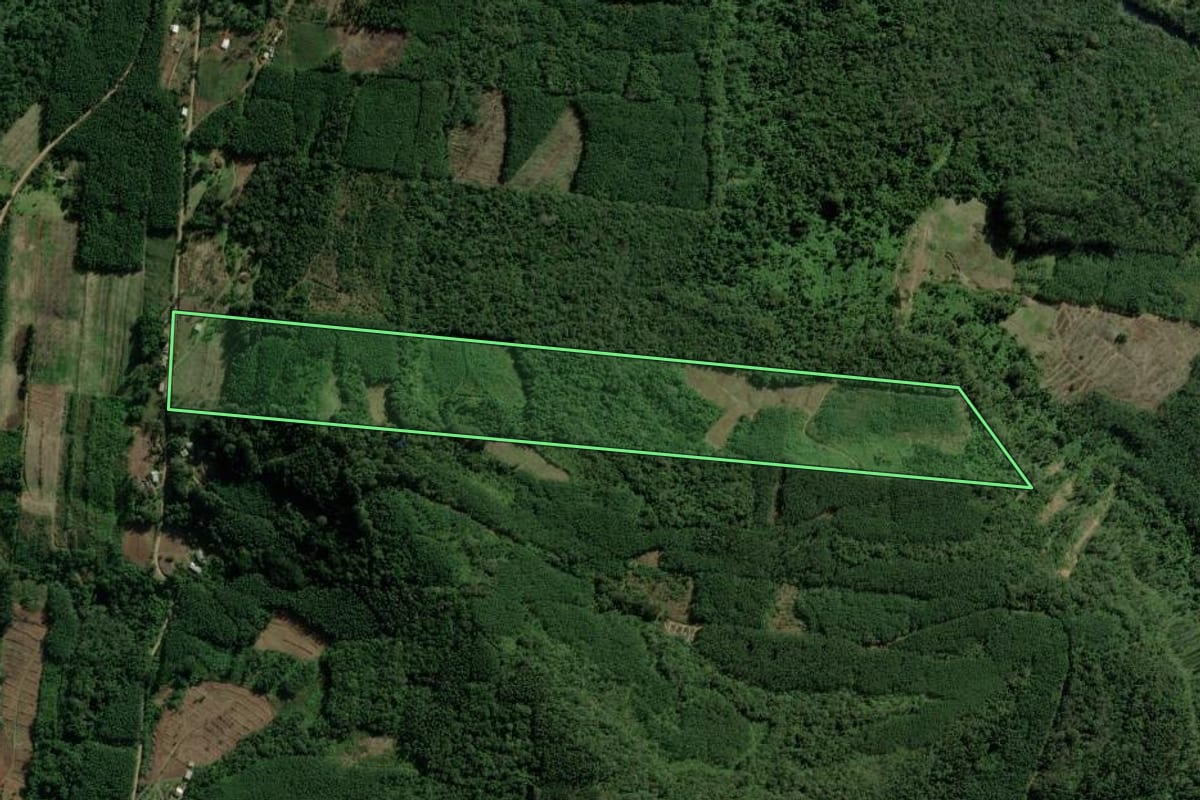 Imagem de satélite do imóvel rural em Morro Reuter (RS), com o contorno declarado no CAR desenhado por cima.