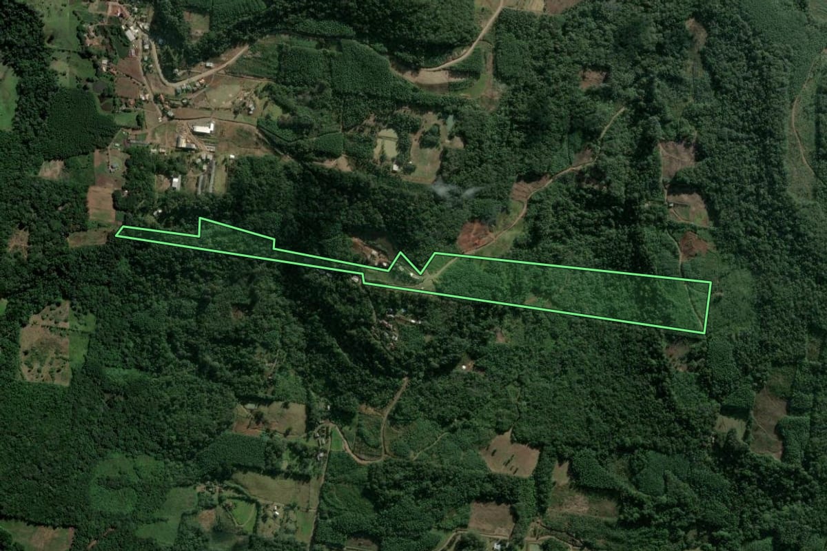 Imagem de satélite do imóvel rural em Morro Reuter (RS), com o contorno declarado no CAR desenhado por cima.