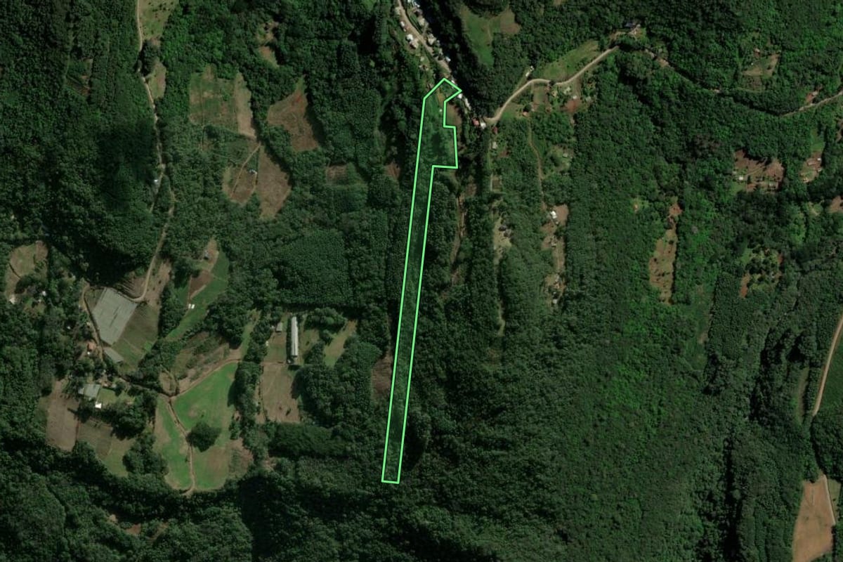 Imagem de satélite do imóvel rural em Morro Reuter (RS), com o contorno declarado no CAR desenhado por cima.