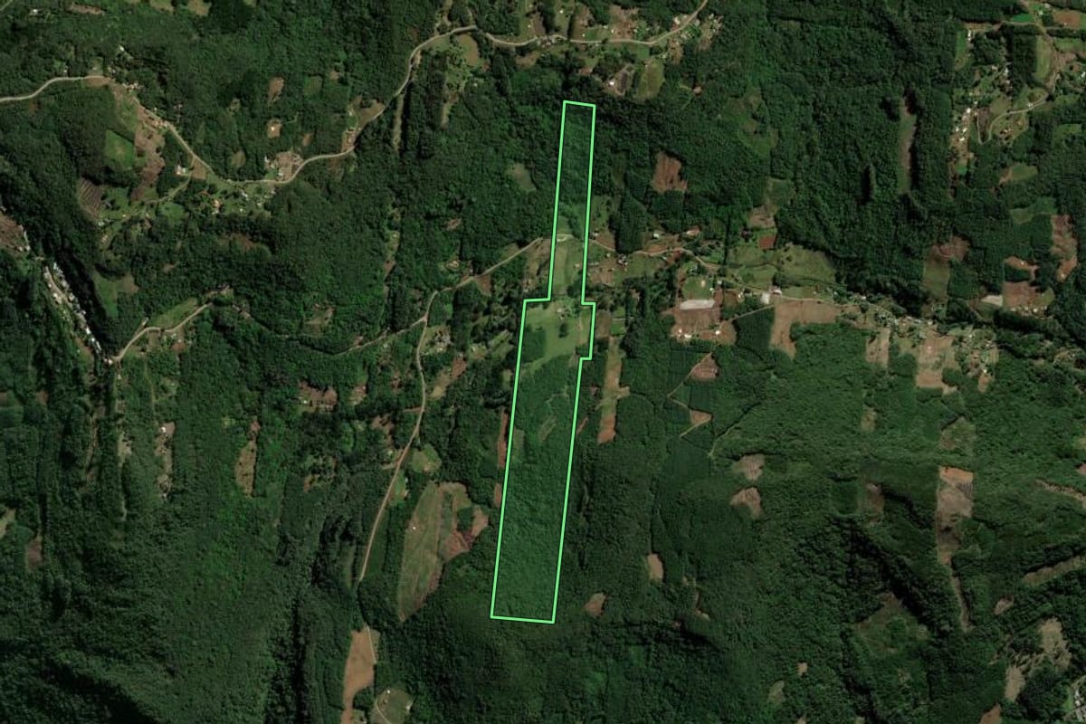Imagem de satélite do imóvel rural em Morro Reuter (RS), com o contorno declarado no CAR desenhado por cima.