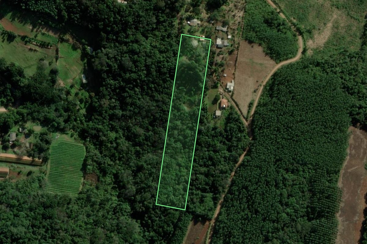 Imagem de satélite do imóvel rural em Morro Reuter (RS), com o contorno declarado no CAR desenhado por cima.
