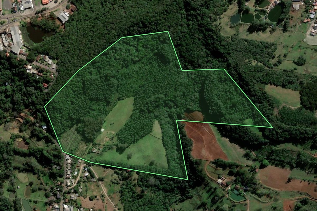 Imagem de satélite do imóvel rural em Morro Reuter (RS), com o contorno declarado no CAR desenhado por cima.