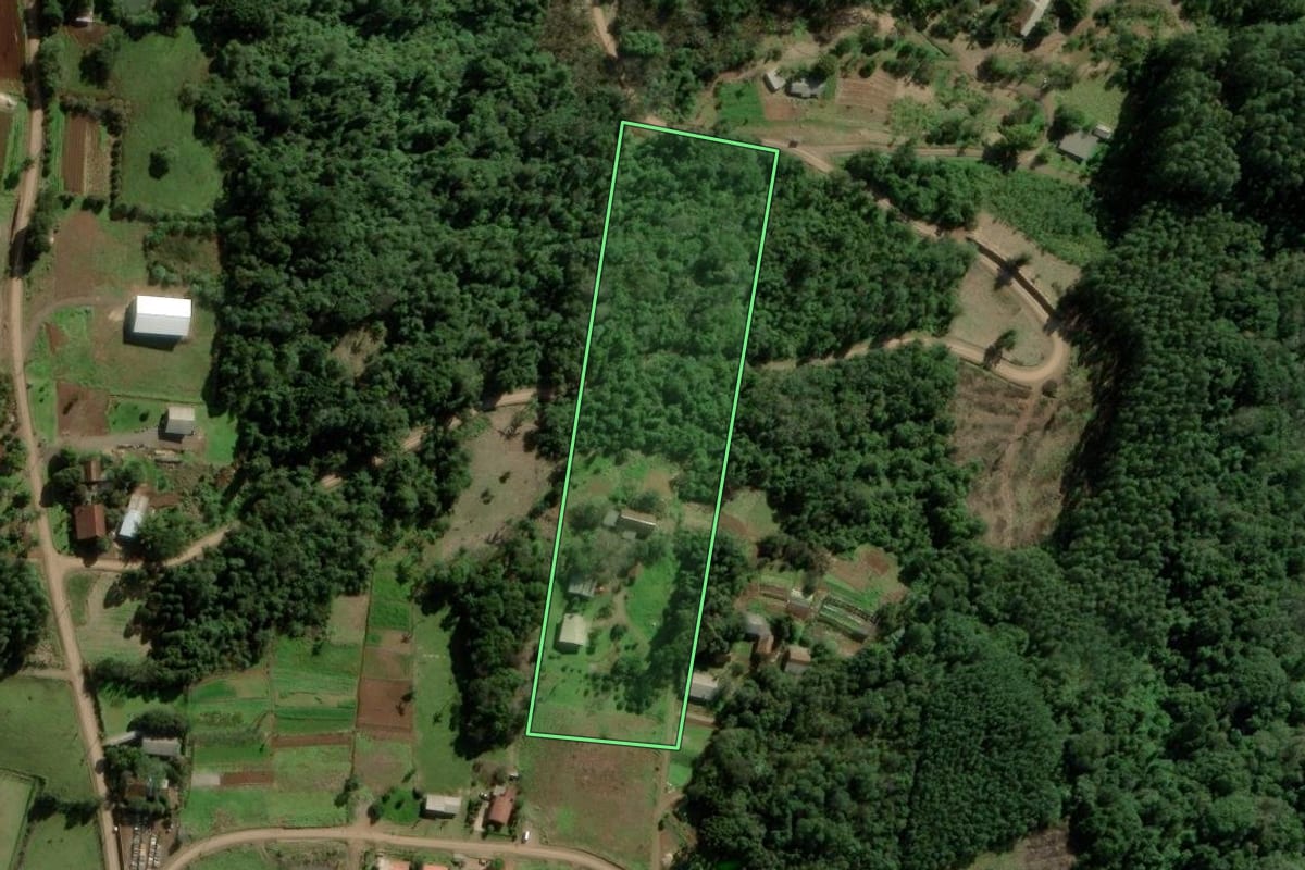 Imagem de satélite do imóvel rural em Morro Reuter (RS), com o contorno declarado no CAR desenhado por cima.