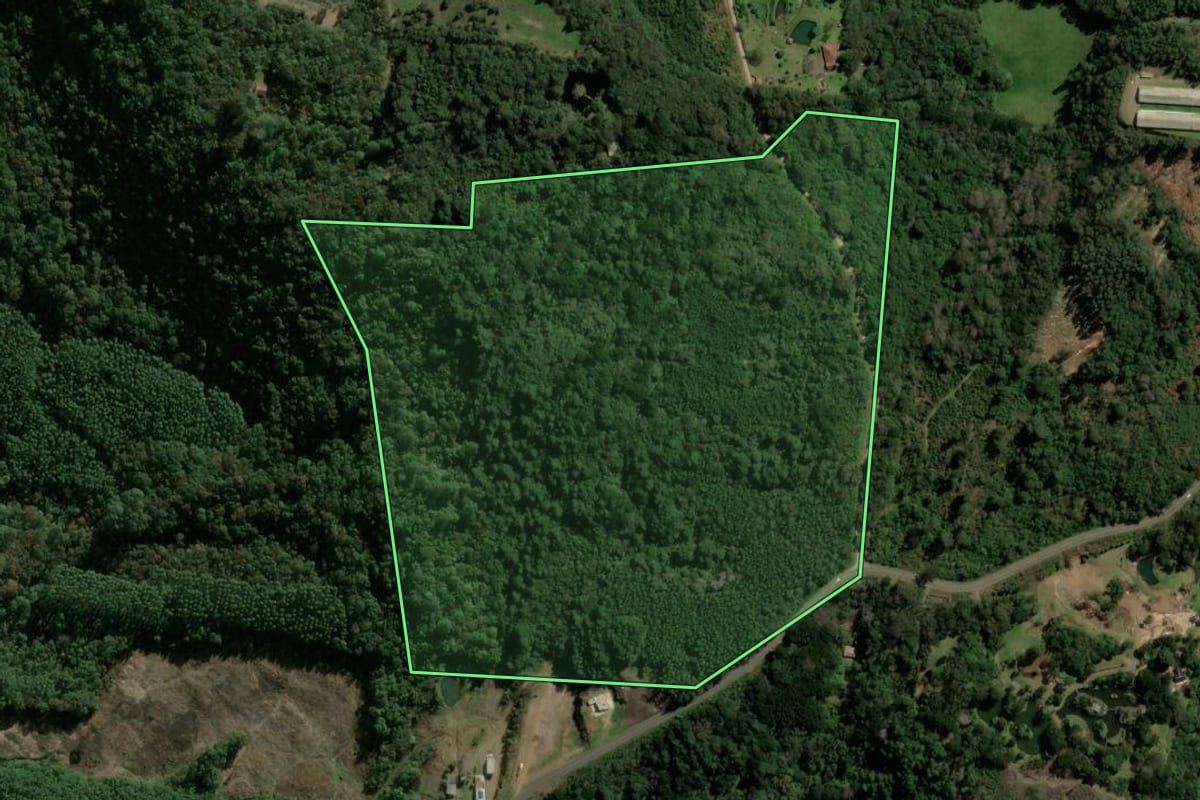 Imagem de satélite do imóvel rural em Morro Reuter (RS), com o contorno declarado no CAR desenhado por cima.
