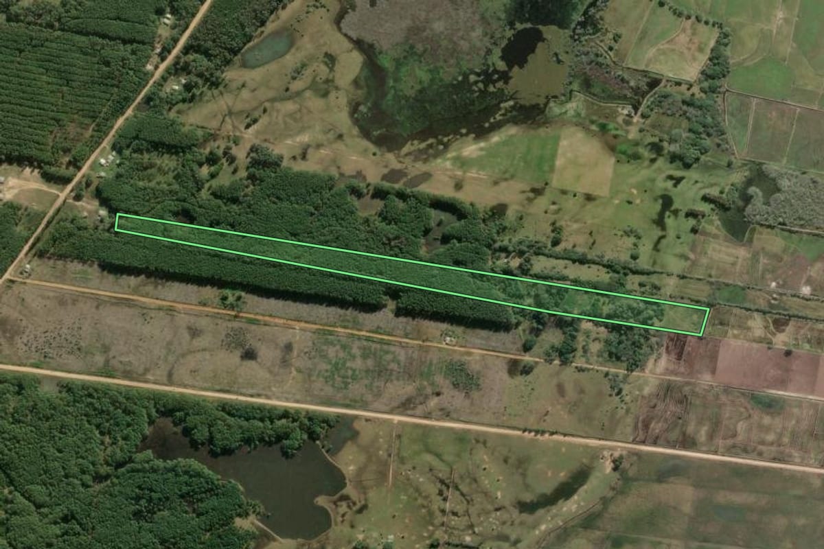 Imagem de satélite do imóvel rural em Mostardas (RS), com o contorno declarado no CAR desenhado por cima.