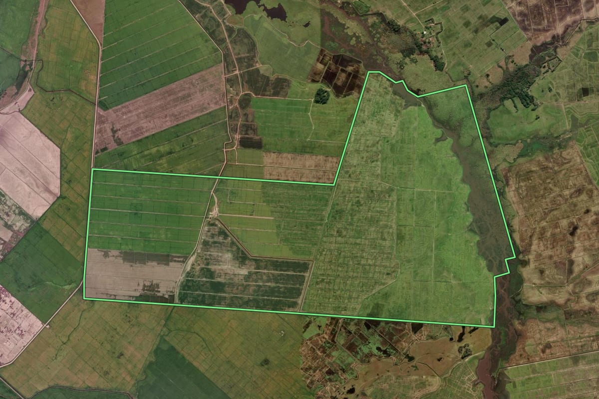 Imagem de satélite do imóvel rural em Mostardas (RS), com o contorno declarado no CAR desenhado por cima.