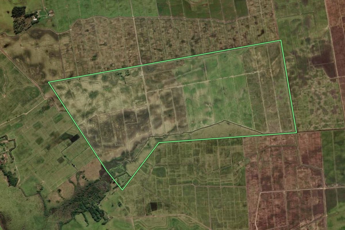 Imagem de satélite do imóvel rural em Mostardas (RS), com o contorno declarado no CAR desenhado por cima.