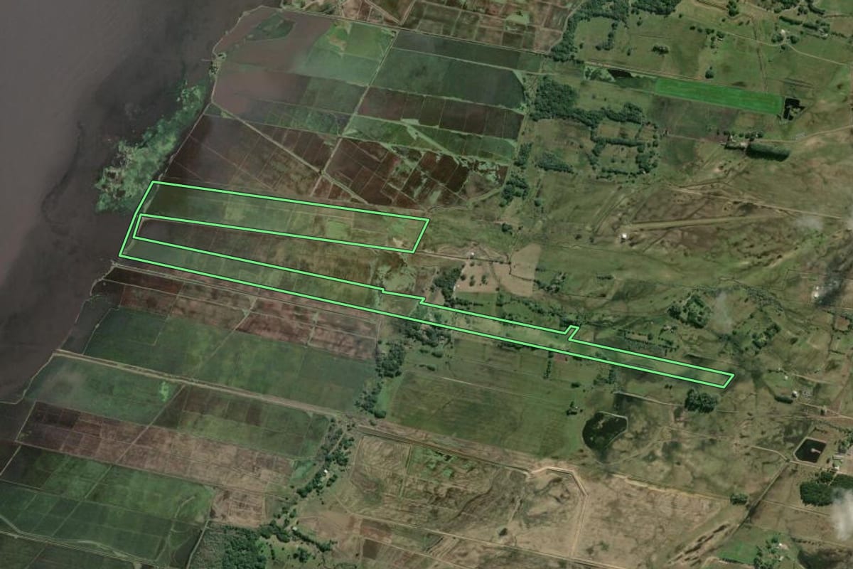 Imagem de satélite do imóvel rural em Mostardas (RS), com o contorno declarado no CAR desenhado por cima.