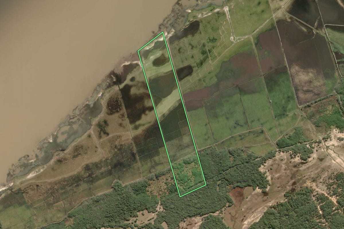 Imagem de satélite do imóvel rural em Mostardas (RS), com o contorno declarado no CAR desenhado por cima.