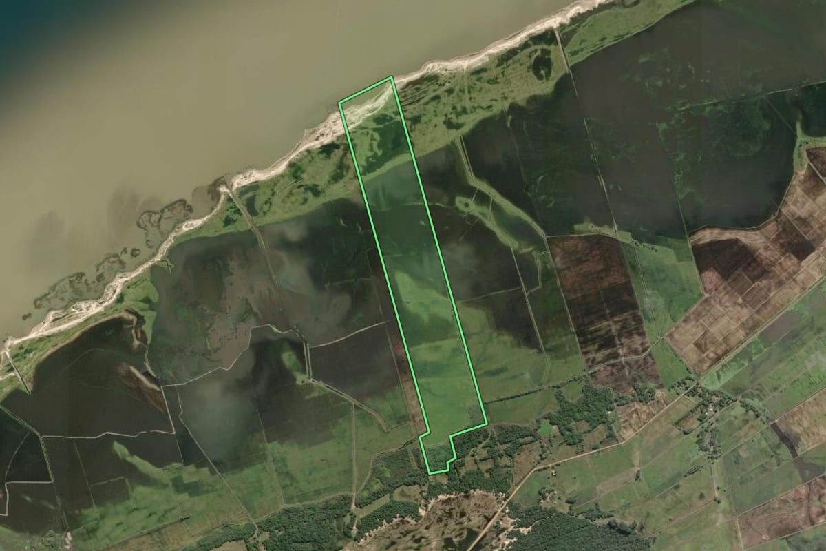 Imagem de satélite do imóvel rural em Mostardas (RS), com o contorno declarado no CAR desenhado por cima.