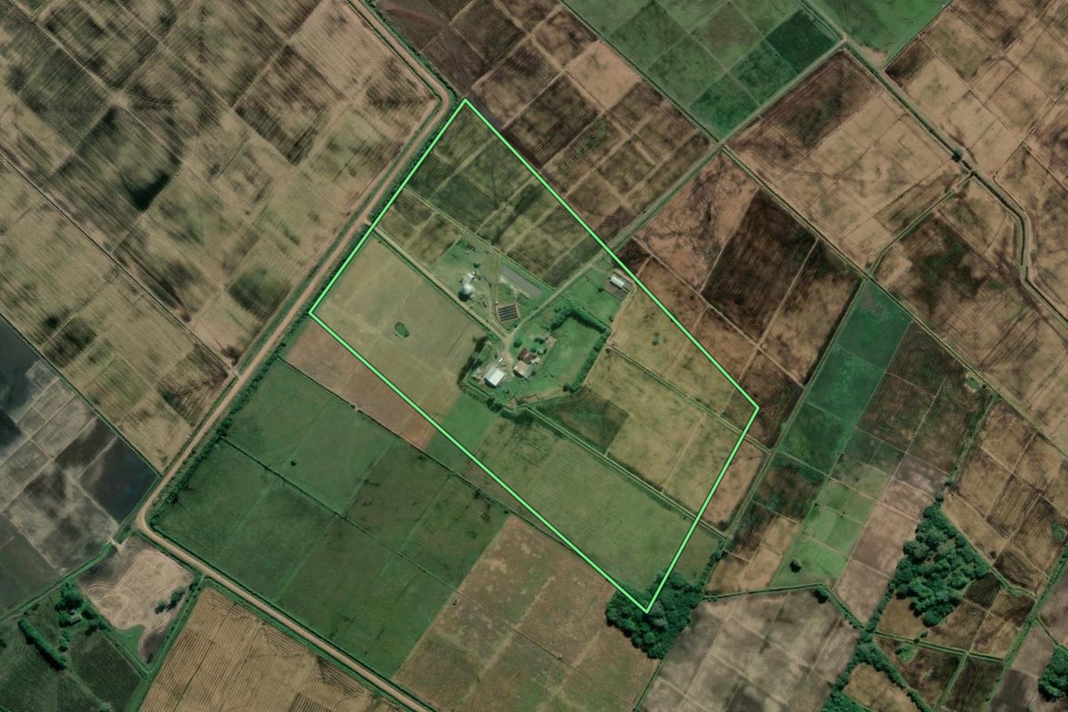 Imagem de satélite do imóvel rural em Mostardas (RS), com o contorno declarado no CAR desenhado por cima.