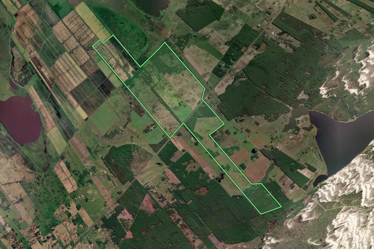 Imagem de satélite do imóvel rural em Mostardas (RS), com o contorno declarado no CAR desenhado por cima.