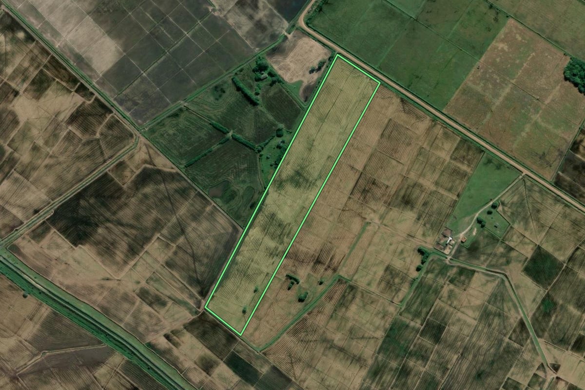 Imagem de satélite do imóvel rural em Mostardas (RS), com o contorno declarado no CAR desenhado por cima.