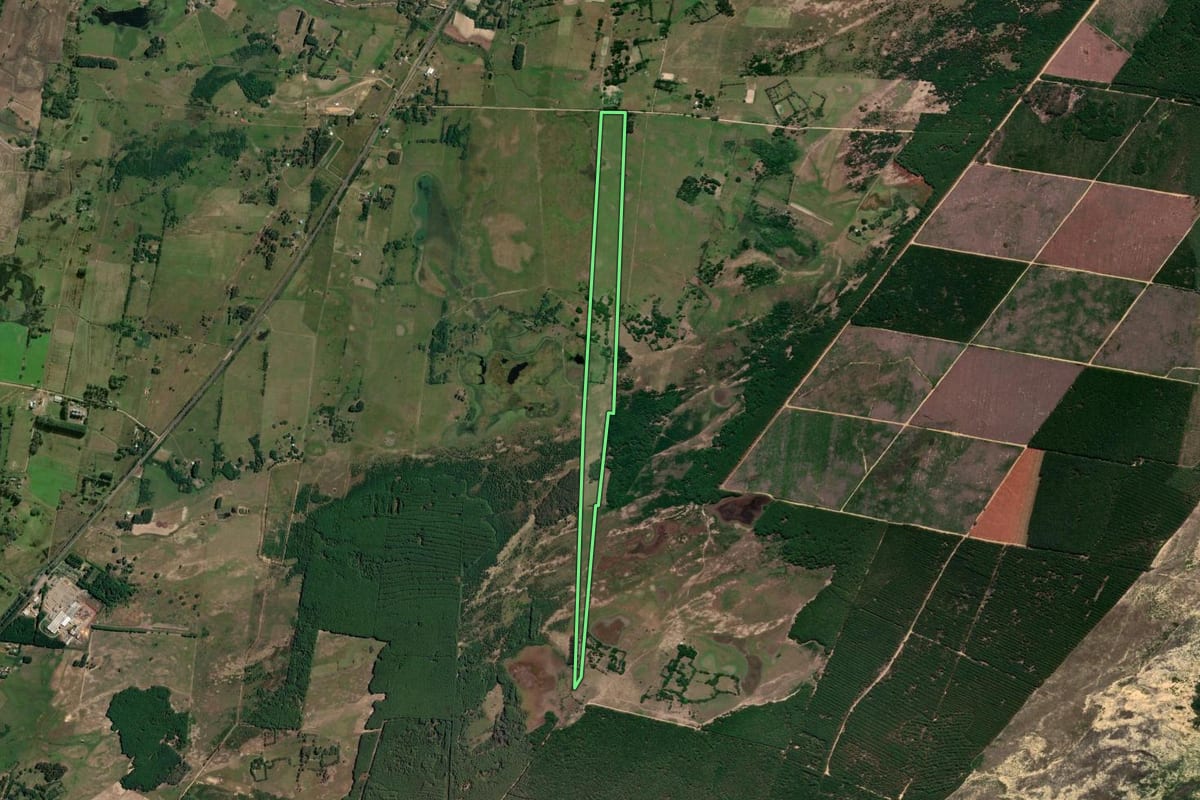 Imagem de satélite do imóvel rural em Mostardas (RS), com o contorno declarado no CAR desenhado por cima.