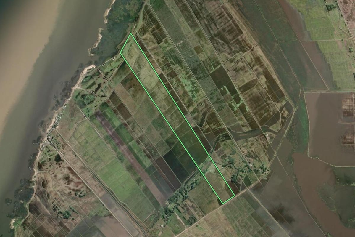 Imagem de satélite do imóvel rural em Mostardas (RS), com o contorno declarado no CAR desenhado por cima.